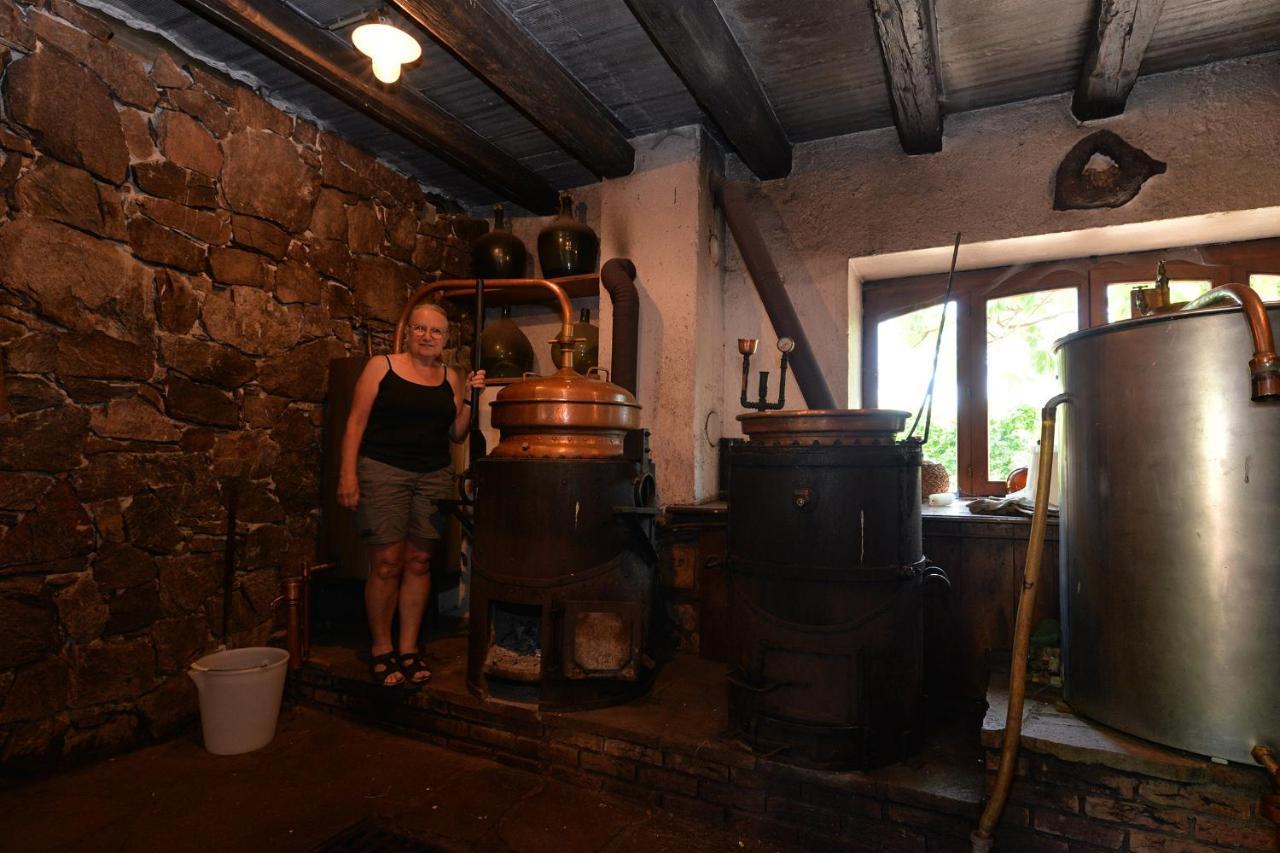 S'Harzala Vert Bis Bergheim Εξωτερικό φωτογραφία